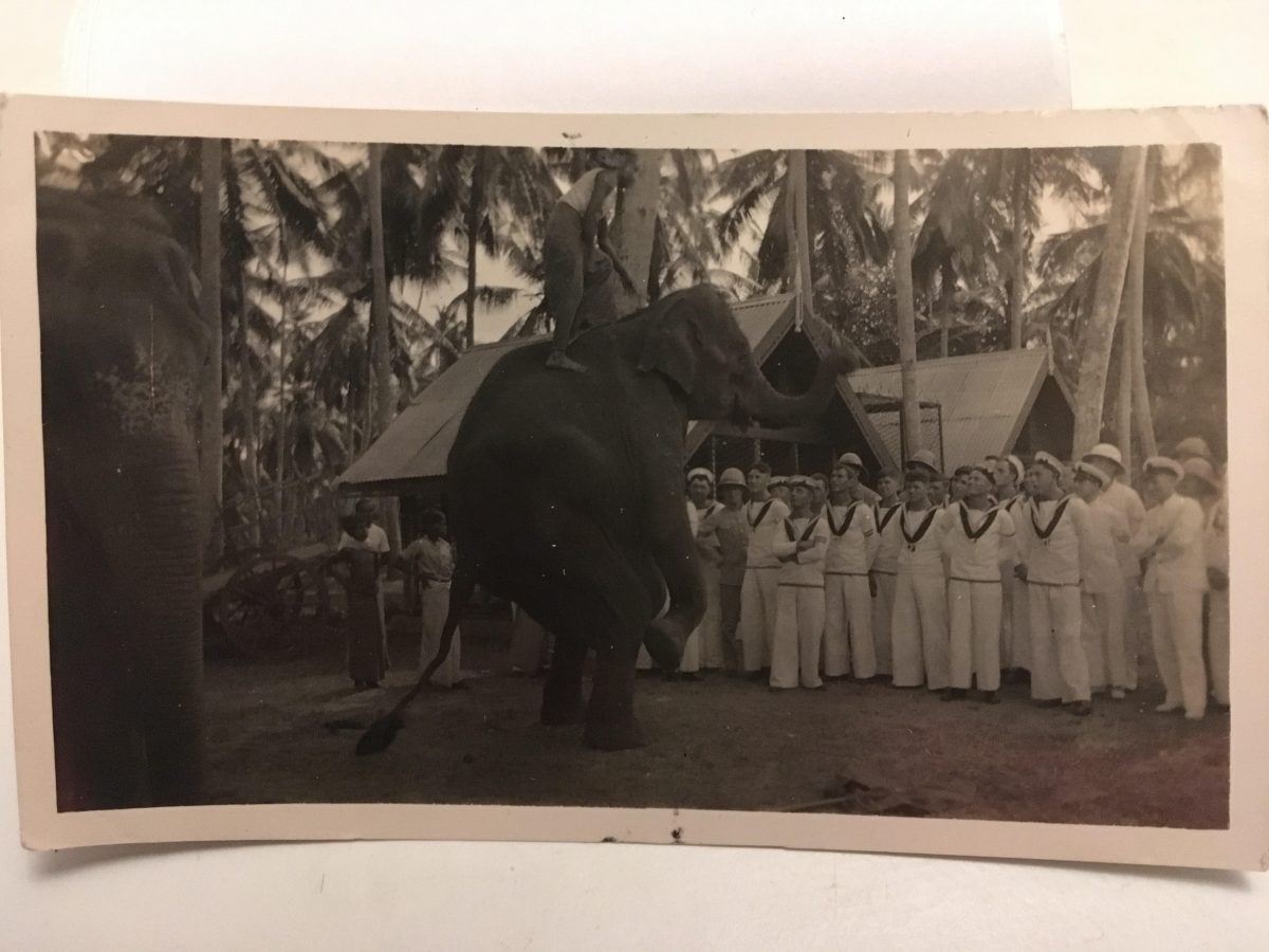 Navy men meeting elephants for the first time – circa 1928